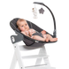 Balansoar Hauck Alpha Bouncer Deluxe 2 in 1 Melange Grey