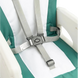 Scaun pentru hranire 2 in 1 Caretero Homee Green